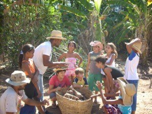 PRODUÇÃO ARTESANAL DA FARINHA DE MANDIOCA NA ROÇA