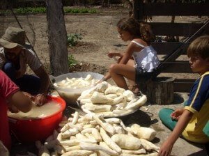 PRODUÇÃO ARTESANAL DA FARINHA DE MANDIOCA NA ROÇA