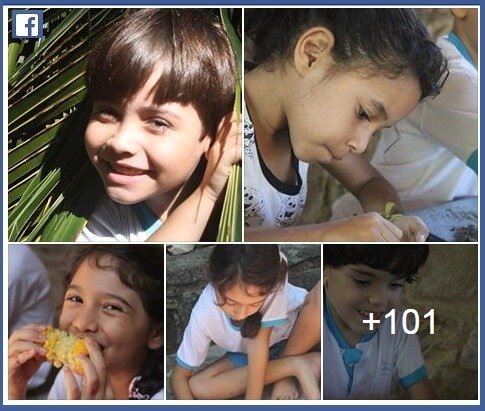 Sem título