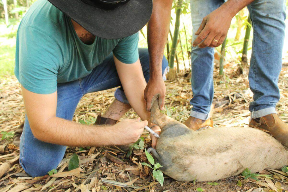 Estudantes de Agroecologia do IFG participam de vivência na roça da Vila Esperança