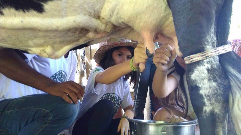 Chácara Caminho das Águas recebe crianças para estudo e prática do campo