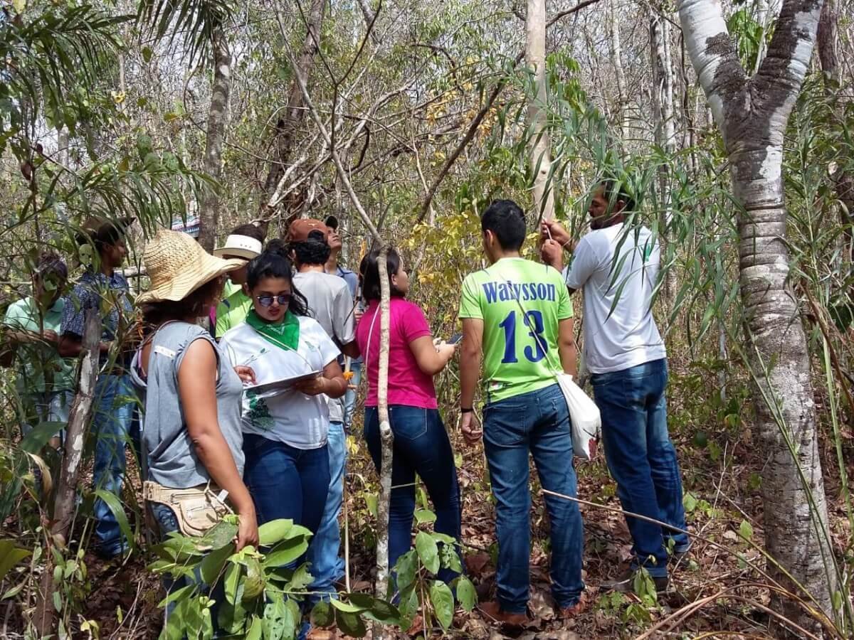 3º ANO DE AGROECOLOGIA do IFG na Chácara Caminho das Águas